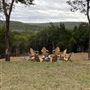 Berriochoa Property - Falcon's Nest