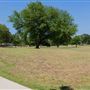 High Oak Park