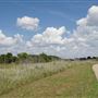 Lynn Creek Linear Park