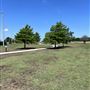 Original Old Celina Park