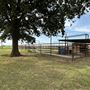 Fairlea Longhorn Ranch