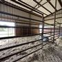 Fairlea Longhorn Ranch