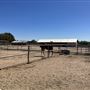 Two Wishes Ranch