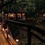 River Road Treehouses