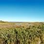 Goose Island State Park