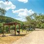 Camp Fimfo