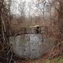 Mineola Nature Preserve