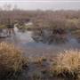 Mineola Nature Preserve