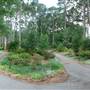 Nacogdoches Azalea Trail