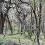 Panther Canyon Nature Trail