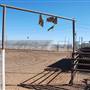 San Angelo Stock Show & Rodeo: Fairgrounds