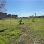 Fate Station Park