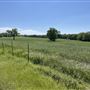 7D Hay & Cattle LLC