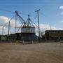 Milam Grain