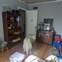 Banta Ranch House
