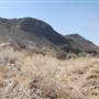 Cibolo Creek Ranch