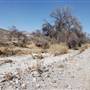 Cibolo Creek Ranch