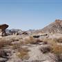 Big Bend Ranch State Park - Hoodoos