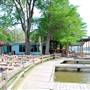 Ski Shores Cafe