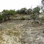 Sinya on Lone Man Creek