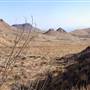 Big Bend National Park - Homer Wilson Ranch