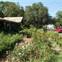 Grandma's House Nursery & Florist