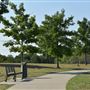 Community Park
