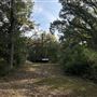 Flournoy Farm