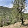 Hess Property