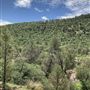 Hess Property