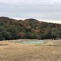 Double T Ranch