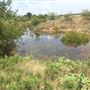 Tipton Ranch
