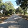 Jones Road