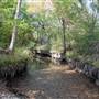 Lockhart State Park