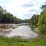 Onion Creek at CR 236