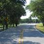 Tripp Road