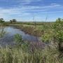 Baytown Nature Center