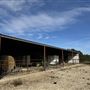Thistle Ridge Farms