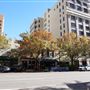 Austin