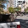 Austin