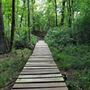 Bringle Lake Park