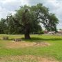 Floresville