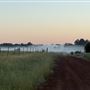 Pinehurst Farm