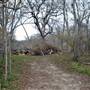 Palmetto State Park