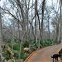 Palmetto State Park