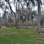 Palmetto State Park
