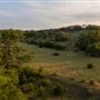 Chick Ranch