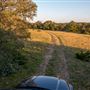 Chick Ranch