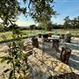 Chick Ranch