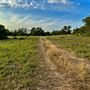 Chick Ranch